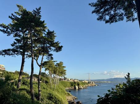 福井県東尋坊 日本海の見える遊歩道 福井県東尋坊 日本海の見える遊歩道 遊歩道,荒磯遊歩道,草木の写真素材