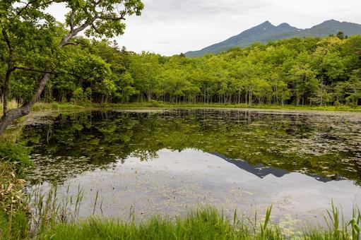 知床五湖に反射する山と曇り空 知床五湖に反射する山と曇り空 地上遊歩道,水鏡,曇り空の写真素材