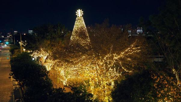 お台場のXmasイルミネーション・東京都 冬,クリスマス,お台場の写真素材