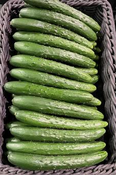 キュウリ キュウリ,胡瓜,野菜の写真素材
