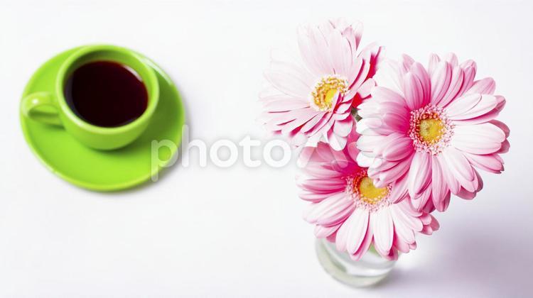 コーヒーと花束素材 花,ピンク,ガーベラの写真素材