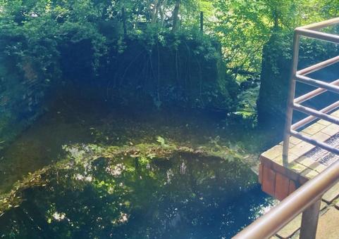 Kakitagawa Spring Water from the Second Observation Deck, JPG