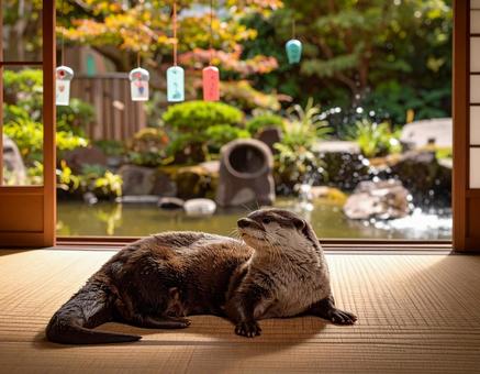 和室のかわうそ 和室のかわうその写真