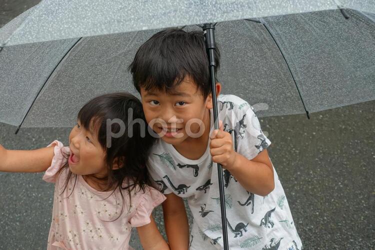 雨の日大きな傘と子供 子供,子ども,傘の写真素材