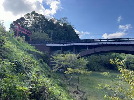 Photo, torii, bridge, jinfeng, 