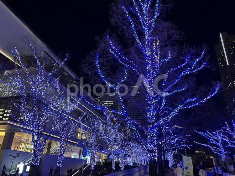 みなとみらい　夜景 みなとみらい,夜景,横浜の写真素材