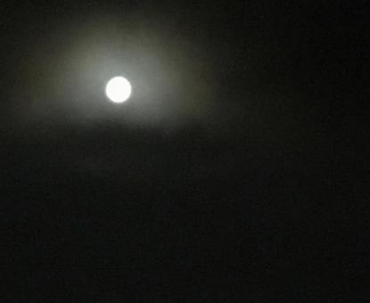 月夜の写真