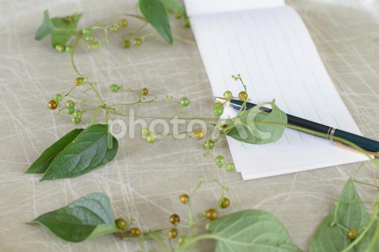 一筆箋に手紙を書く２ 手紙,便箋,一筆箋の写真素材
