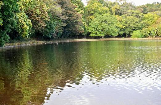湖の色づき始めた初秋の風 湖面,初秋,色づき始めの写真素材