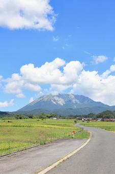 夏の貝田集落 6 夏の貝田集落 6 大山,貝田集落,棚田の写真素材