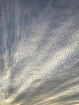 夕方の細かい雲 夕方の細かい雲の写真