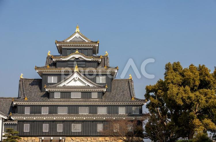 左寄りに配置した岡山城 岡山城,烏城,屋根の写真素材