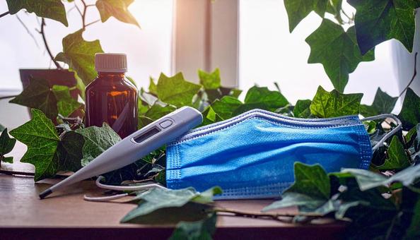 感染対策 マスクと体温計 感染対策 マスクと体温計の写真