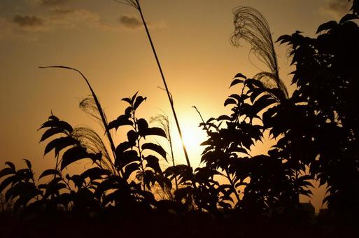 夕日 夕日の写真
