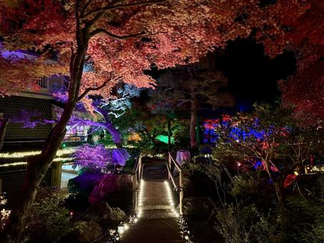 越前陶芸村　陶あかり　福井県陶芸館 福井県陶芸館,幽石庭,灯火の写真素材