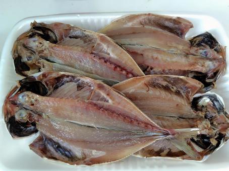 真あじの開き4枚 真あじの開き4枚 真あじの開き4枚,魚,真あじの写真素材