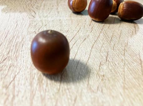 数個のどんぐり どんぐり,秋,木の実の写真素材