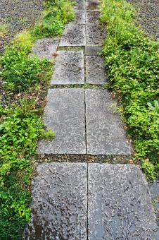 濡れた石畳 濡れた石畳 石畳,雨,露の写真素材