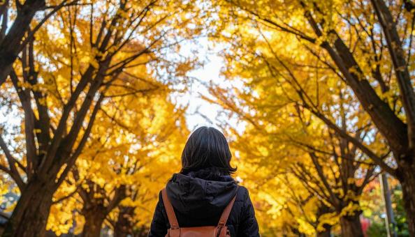 紅葉狩り　 紅葉を見上げて楽しむ女性の写真