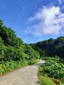 月山 姥沢駐車場前からリフト乗り場への道 月山 姥沢駐車場前からリフト乗り場への道 登山道,リフト乗り場,月山の写真素材