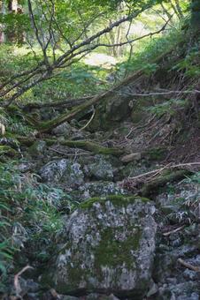 大台ヶ原の風景 大台ヶ原の風景 大蛇嵓,断崖絶壁,正木ヶ原の写真素材