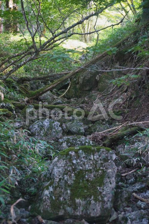 大台ヶ原の風景 大蛇嵓,断崖絶壁,正木ヶ原の写真素材