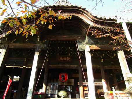 紀三井寺救世殿 紀三井寺,お寺,和歌山の写真素材