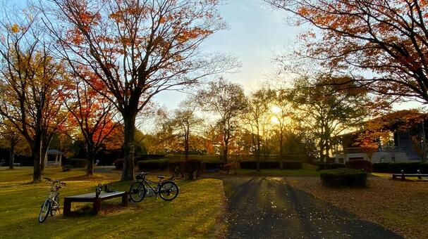 紅葉の北部公園（金沢） 紅葉,秋,公園の写真素材