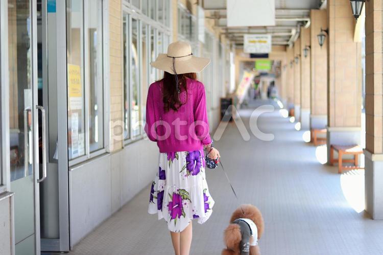 愛犬と散歩 愛犬,散歩,女性の写真素材