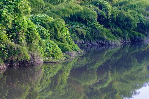 Photo, chuan, early summer scenery, healing, 