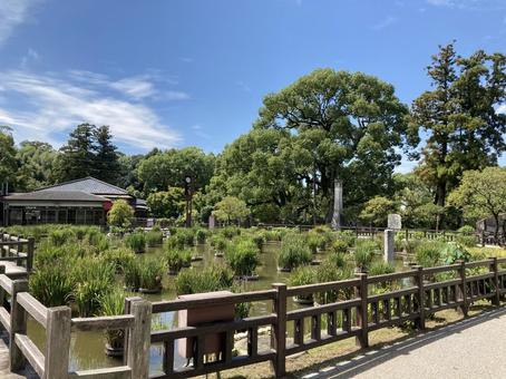 境内 太宰府,福岡,神社の写真素材