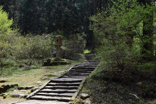羽黒山五重塔付近の景色 羽黒山五重塔付近の景色 羽黒山五重塔付近の景色,羽黒山五重塔,羽黒山五重塔付近の写真素材