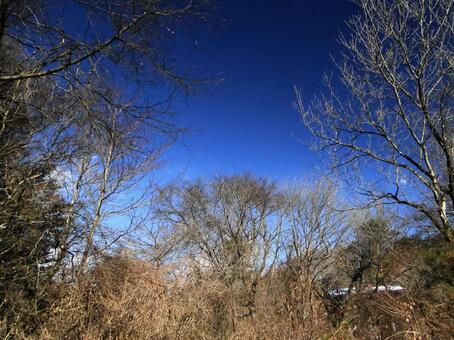 澄んだ空気の冬の朝の写真