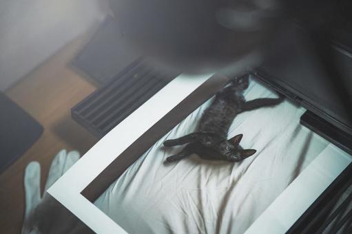 プリンター 印刷,プリント,プリンターの写真素材