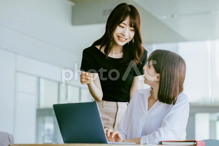 ミーティングをする2人のビジネスウーマン 女性,ビジネス,ビジネスウーマンの写真素材