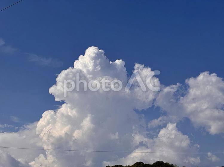 【風景写真】夏空 夏空,空,雲の写真素材
