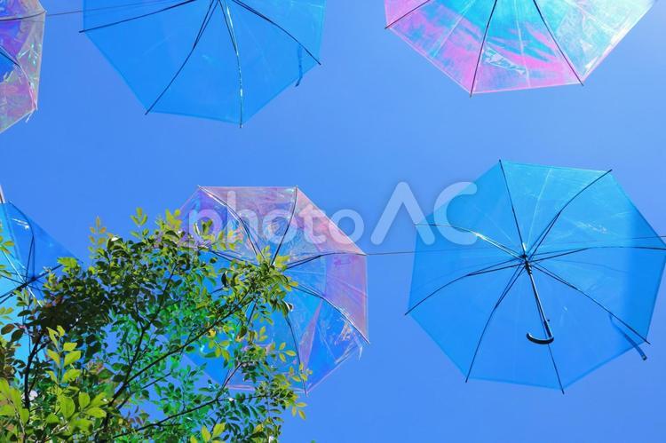 アンブレラスカイ　梅雨の風景 アンブレラスカイ,傘,梅雨の写真素材