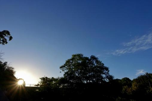夏の朝空48 夏の朝空48 朝日,日の出,夜明けの写真素材