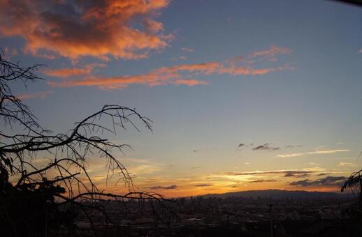 夕焼け 夕焼けの写真