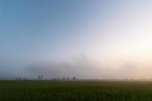 Photo, fog, kiri, early morning, 