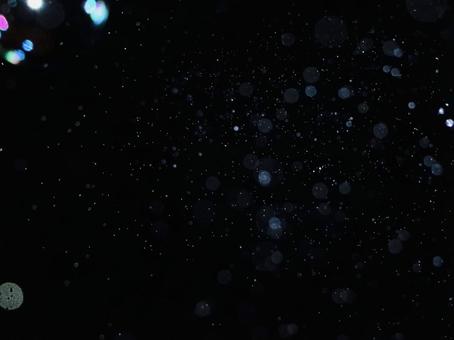 夜空に舞う星屑のような光 夜空に舞う星屑のような光の写真