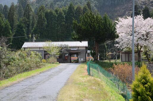 桜が咲く因美線の木造駅舎（秘境駅の春） 知和駅,駅,駅舎の写真素材