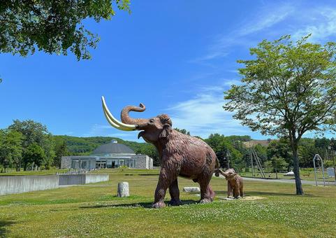 北海道 ナウマンゾウの親子像 北海道 ナウマンゾウの親子像 ナウマン公園,ナウマン象,親子の写真素材