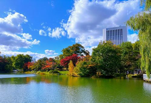 札幌市 中島公園の紅葉 公園,中島公園,池の写真素材
