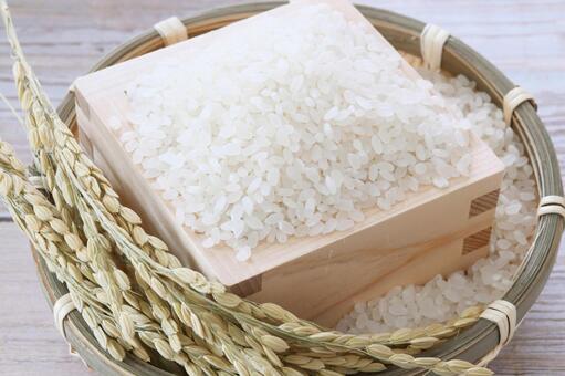 お米　収穫の秋　イメージ 新米,米,秋の写真素材