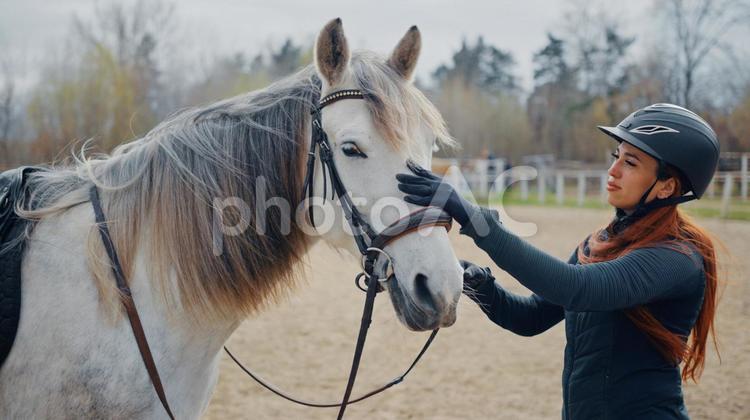 白馬と騎手 馬,馬の顔,斜めの写真素材