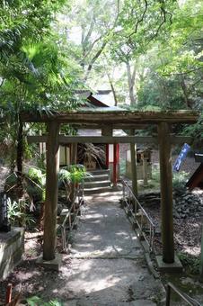 紀州東照宮　弁財天社 紀州東照宮,弁財天社,東照宮の写真素材