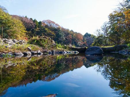 秋の森が映り込む静かな池の風景 池,水面,反射の写真素材