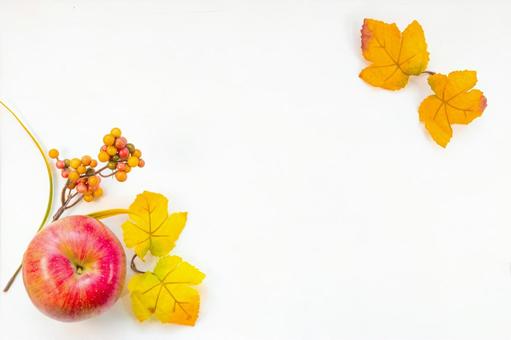 白背景のフルーツ 果物,りんご,みかんの写真素材