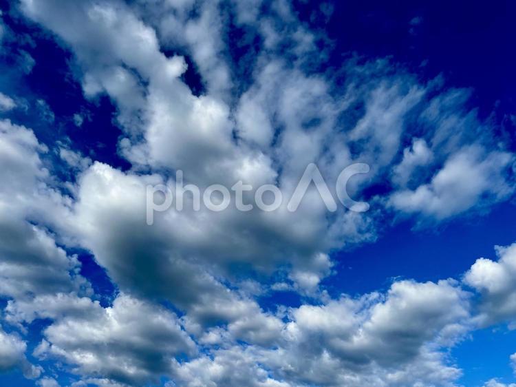 晴れた日のきれいな白い雲 青空,雲,白いの写真素材